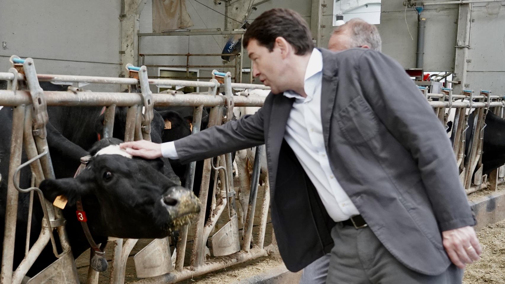El presidente del PP de Castilla y León, Alfonso Fernández Mañueco, visita la localidad asturiana de Cabrales, junto al candidato a la Presidencia del Principado, Diego Canga