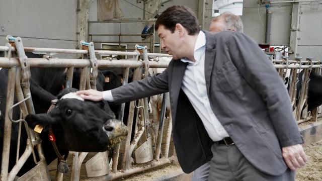 El presidente del PP de Castilla y León, Alfonso Fernández Mañueco, visita la localidad asturiana de Cabrales, junto al candidato a la Presidencia del Principado, Diego Canga