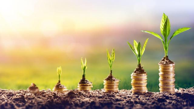 El proceso de invertir el dinero