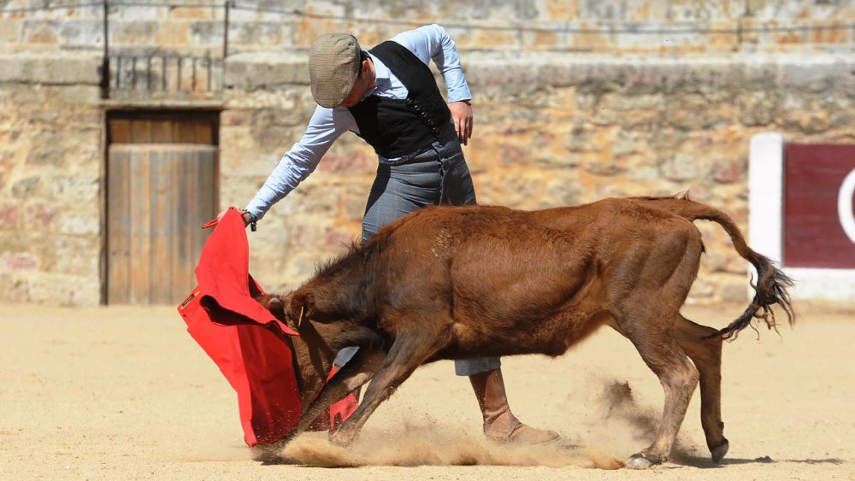 XIV Certamen de Tentaderos de Rioseco