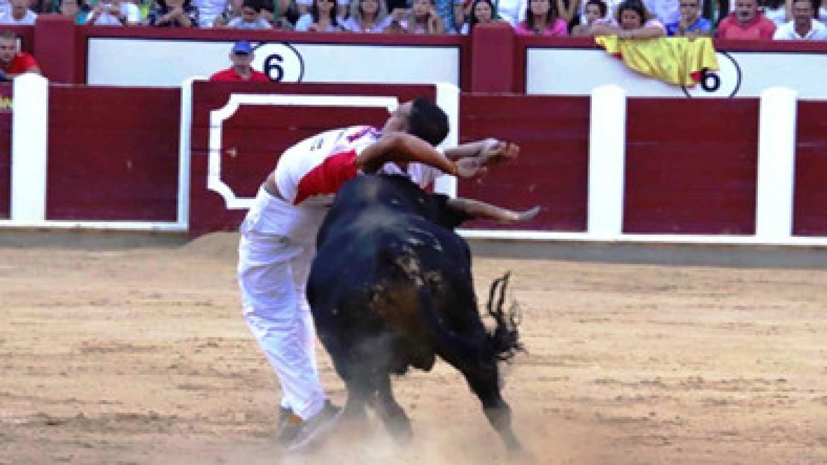 Un cortador en plena actuación el pasado año en Valladolid