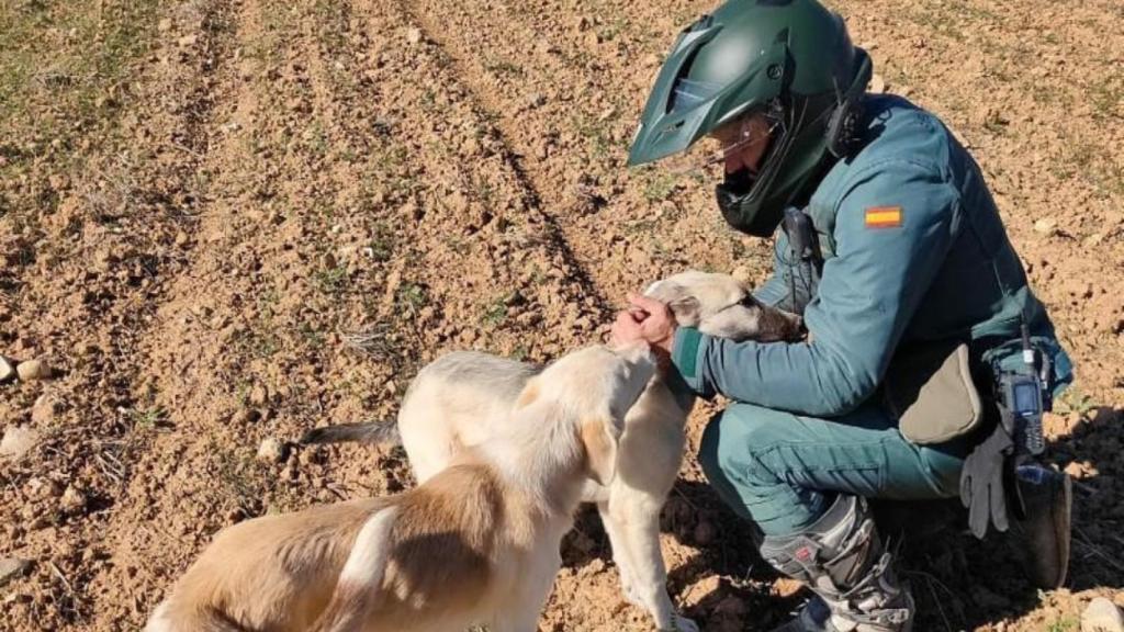 Foto: Guardia Civil