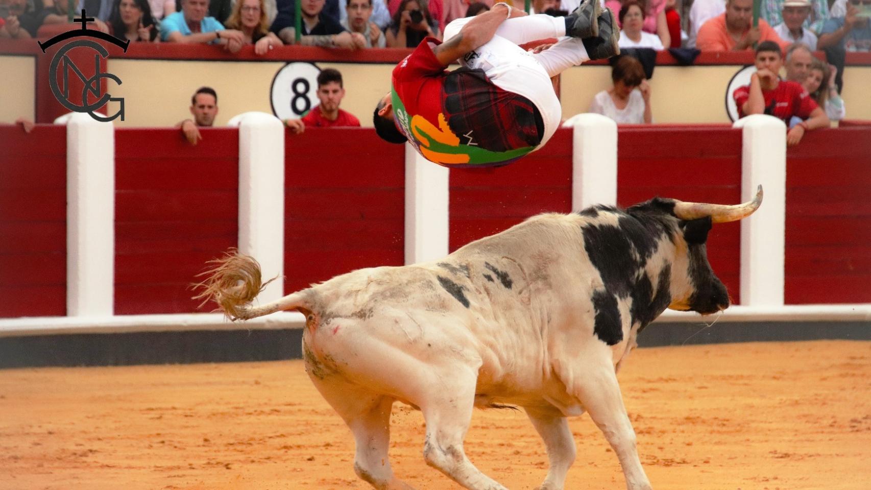Las mejores imágenes del concurso de cortes de San Pedro Regalado