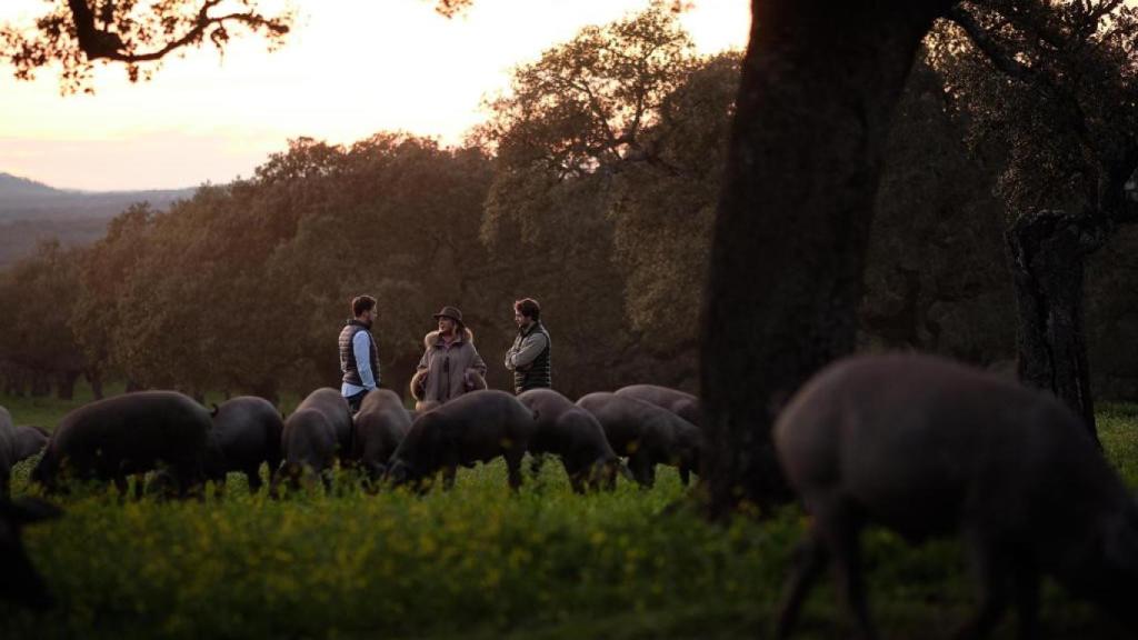 La familia Sánchez en la dehesa