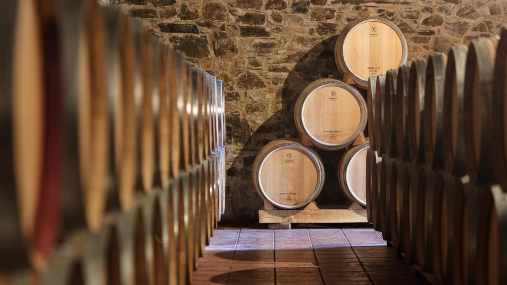 Sala de barricas de Bodegas Pittacum