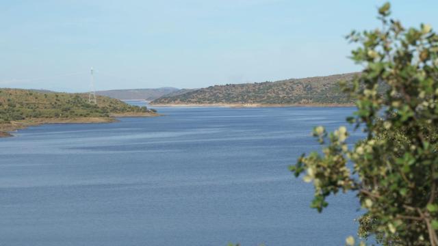 Embalse de Alcántara (Cáceres) en mayo de 2023.