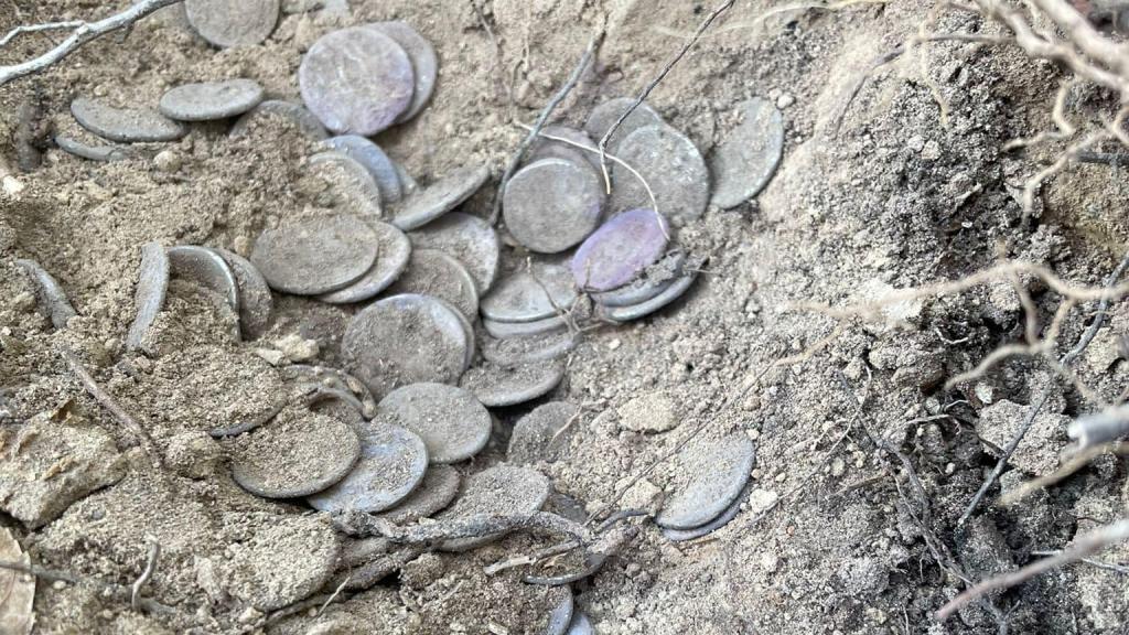 Lugar del descubrimiento de los denarios. Foto: Grupo Arqueológico y Paleontológico de Livorno.