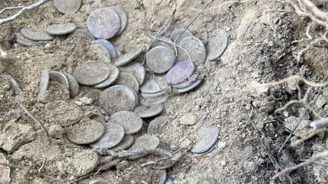 Lugar del descubrimiento de los denarios. Foto: Grupo Arqueológico y Paleontológico de Livorno.