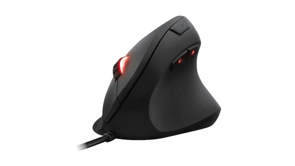 Raton-01