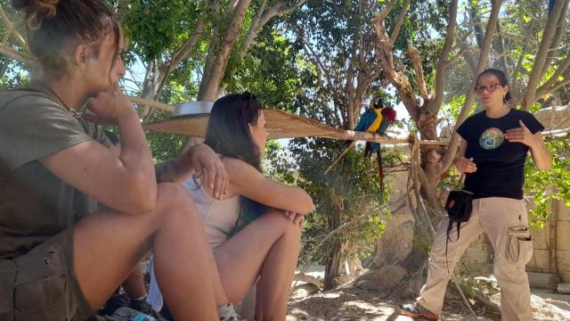 Formación de cuidadores, educadores y veterinarios de Terra Natura Benidorm.