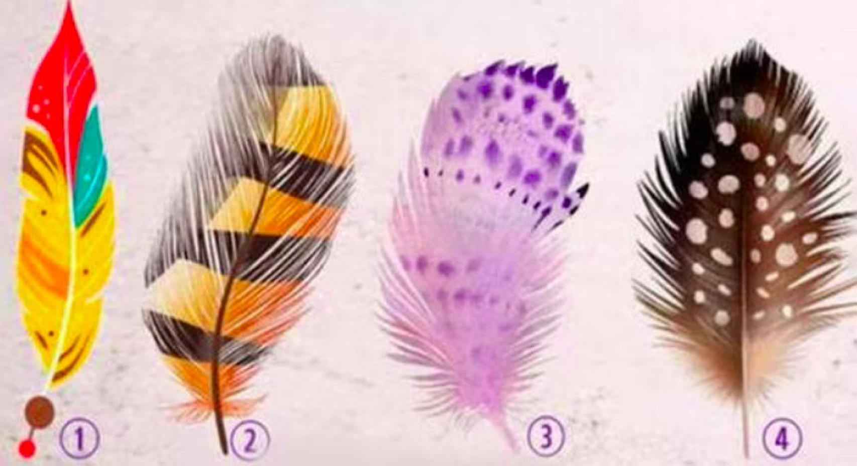 ¿Con cuál de estas cuatro plumas te quedas?
