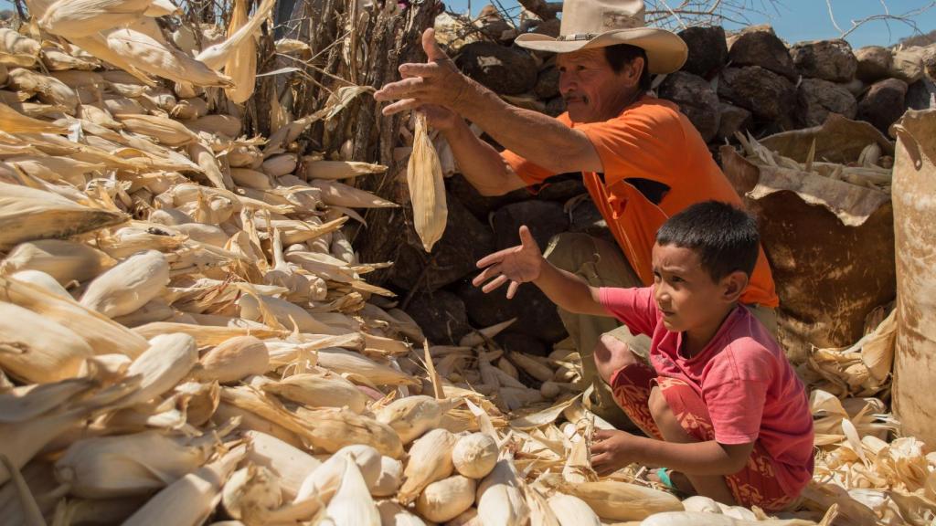 Un agricultor y su hijo en Honduras.