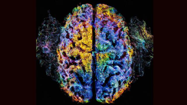 Recreación de la ciencia de la consciencia a través de un cerebro humano.