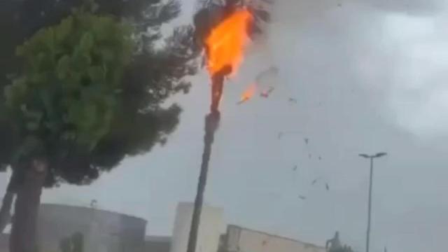 Así se quemaba la palmera en un municipio de Alicante a causa de un rayo