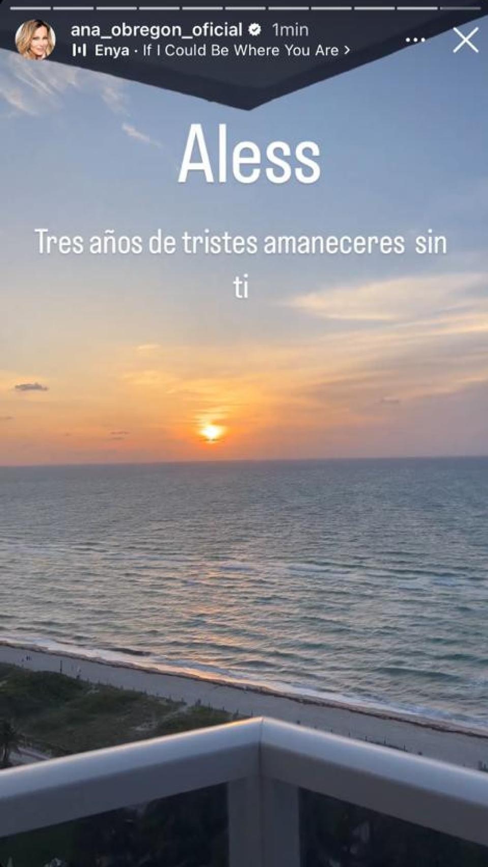 La imagen que ha compartido Ana Obregón en sus 'stories'.
