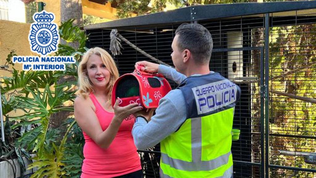 La Policía devuelve el animal a su propietaria en Benidorm.