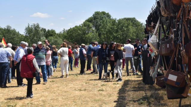 Feria de San Isidro en Lumbrales