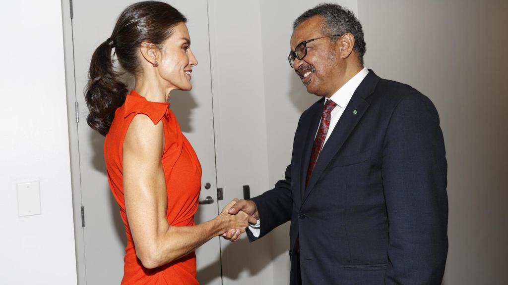 La reina Letizia en Nueva York con vestido de Narciso Rodríguez x Zara.