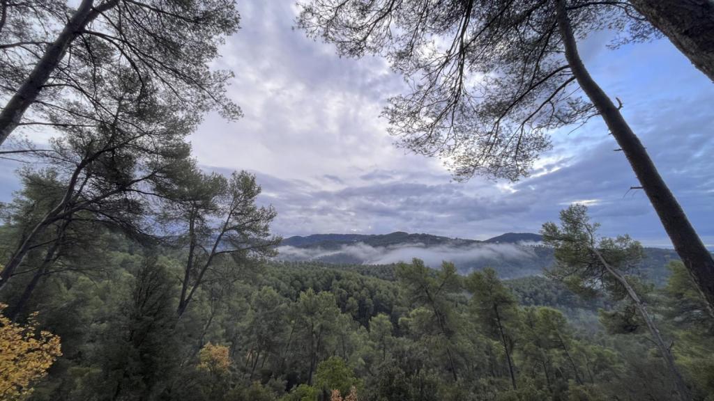 Parque Natural de la Sierra de Collserola