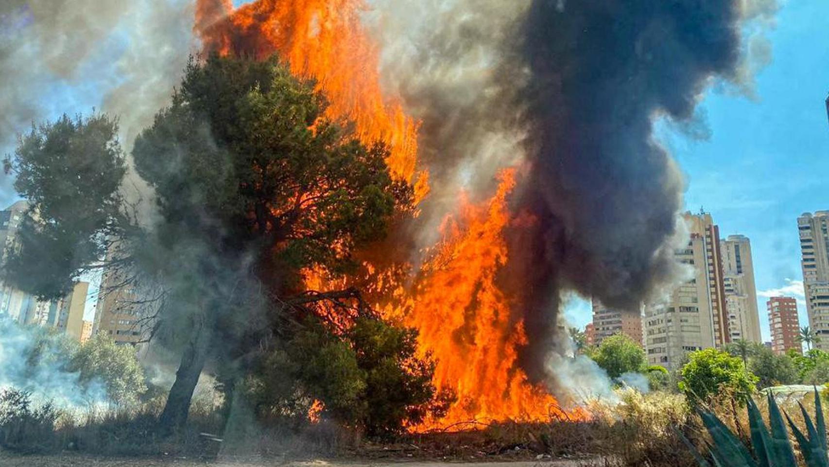 Imagen del fuego localizado en la partida de El Armanello de Benidorm, con los rascacielos al fondo.