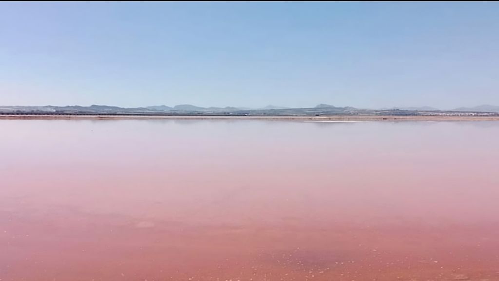 Vista de las salinas de Santa Pola donde los investigadores de la UA han identificado un pigmento con capacidad anticancerígena.