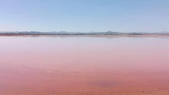 Vista de las salinas de Santa Pola donde los investigadores de la UA han identificado un pigmento con capacidad anticancerígena.