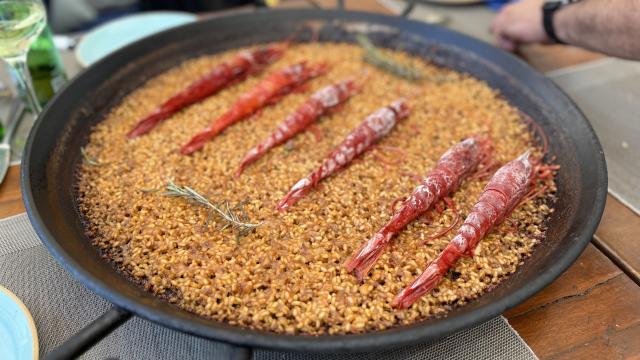 Si buscas una buena paella en Valencia en la playa este es tu restaurante: Cocoa Patacona