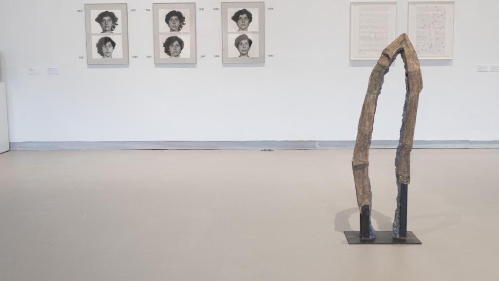 Vista de la exposición 'Bilduma Hau Colección. Movimientos elementales (1950 - 2000)'. La nueva reordenación de la colección de Artium incluye casos de estudio sobre arte y pedagogías. Foto:  Quintas Fotógrafos