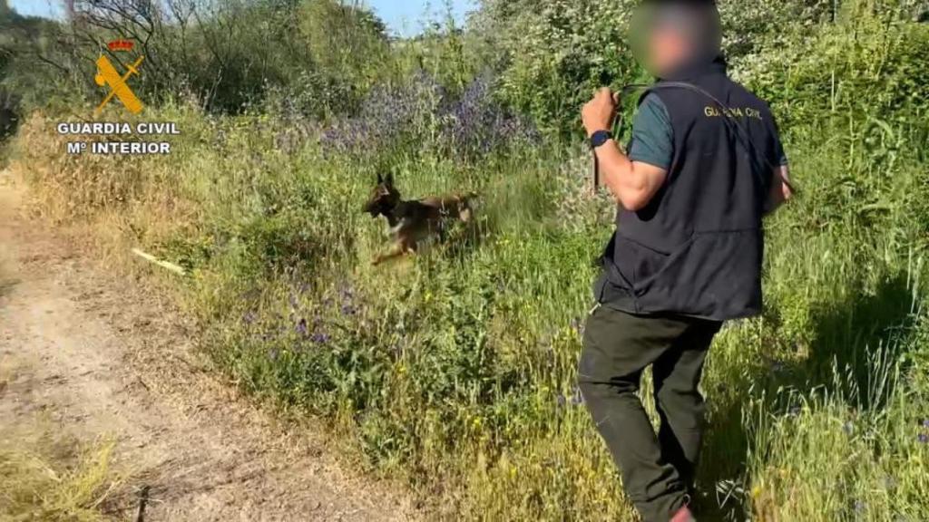 Operativo Guardia Civil continua la búsqueda de Roberto Garcia.