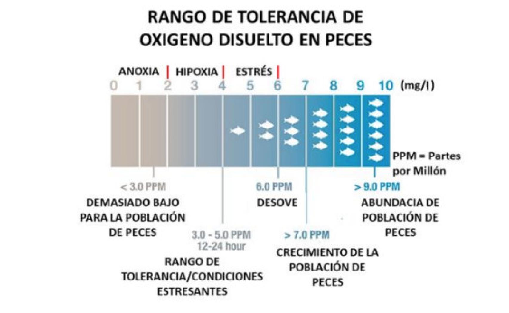 Clasificación para determinar la situación de la laguna.