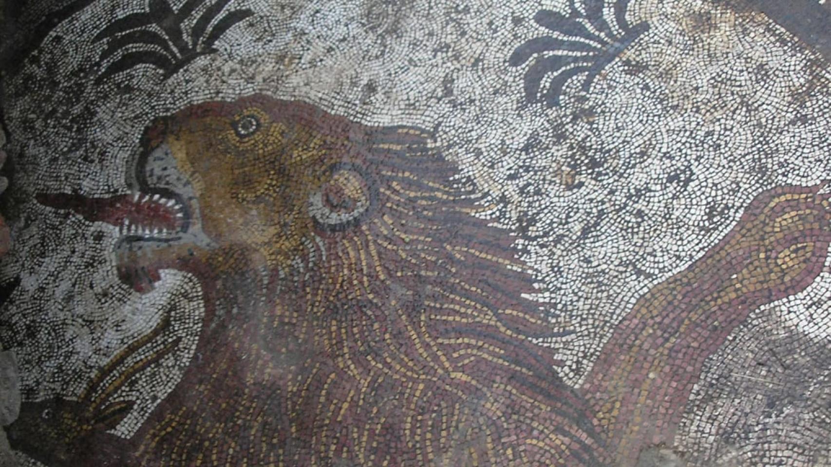 Imágenes de la Villa Romana de Saelices el Chico