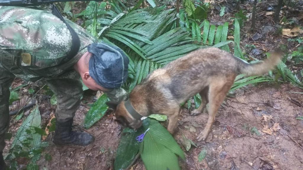 Las Fuerzas Especiales encontraron un refugio improvisado y elementos que darían indicios del rastro de los menores .