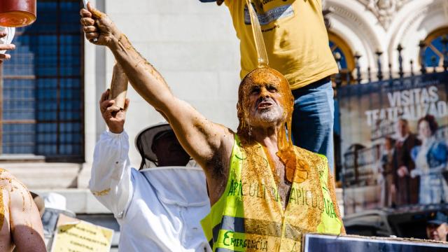 Un apicultor bañado en miel durante una concentración de las organizaciones profesionales agrarias y entidades relacionadas con el sector apícola frente al Ministerio de Agricultura, a 9 de marzo de 2023, en Madrid (España).