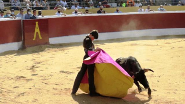 Plaza de toros de Ampudia en una novillada de 2022