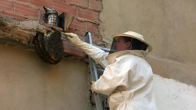 WhatsApp Image 2023-05-10 at 09.31.25 (1) ok