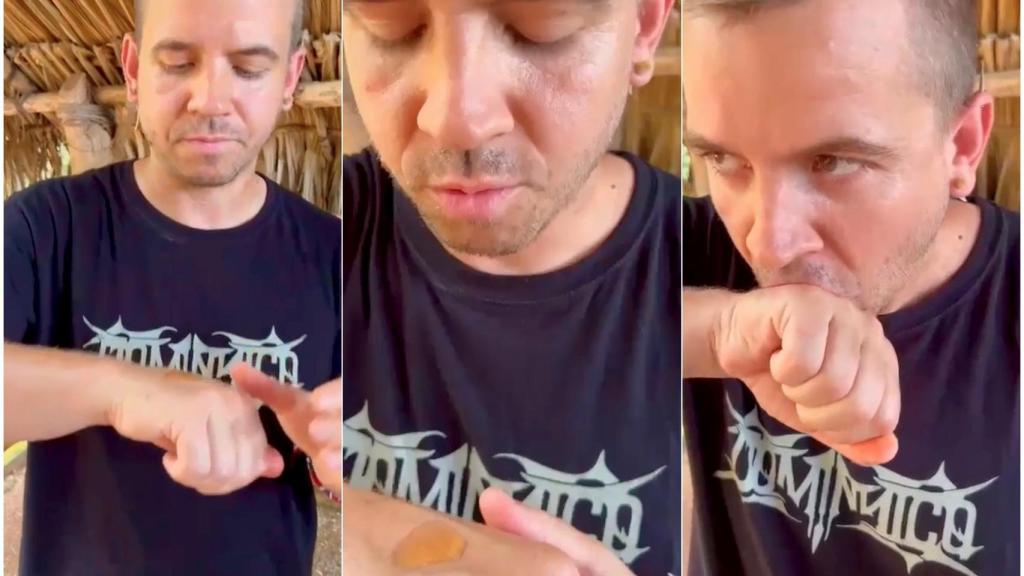 Secuencia de una degustación de miel melipona, por Dabid Muñoz