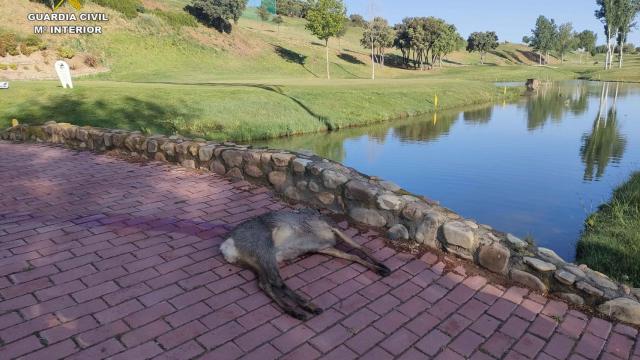 2023-05-19 Foto Prensa