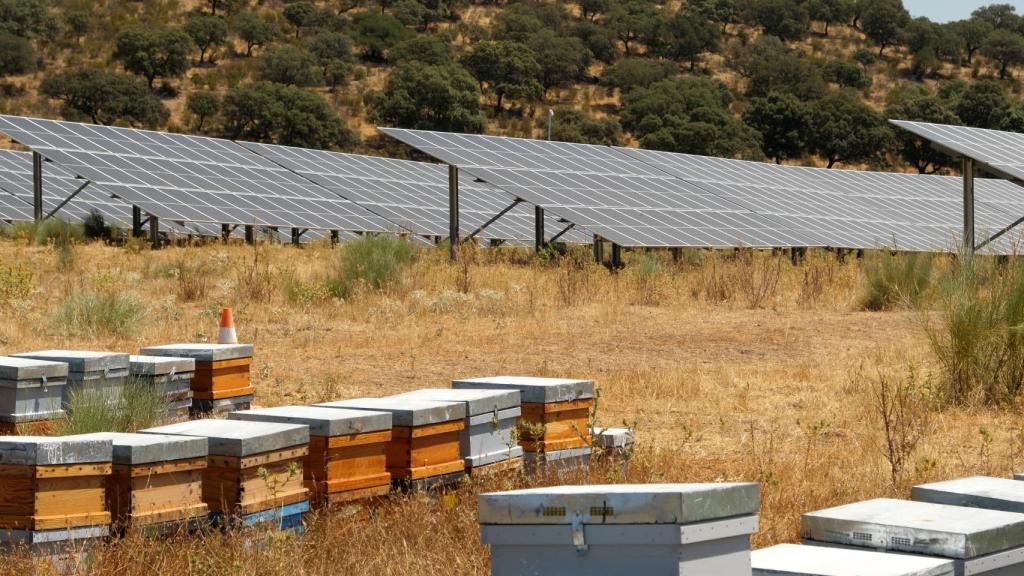 Foto: Iberdrola.