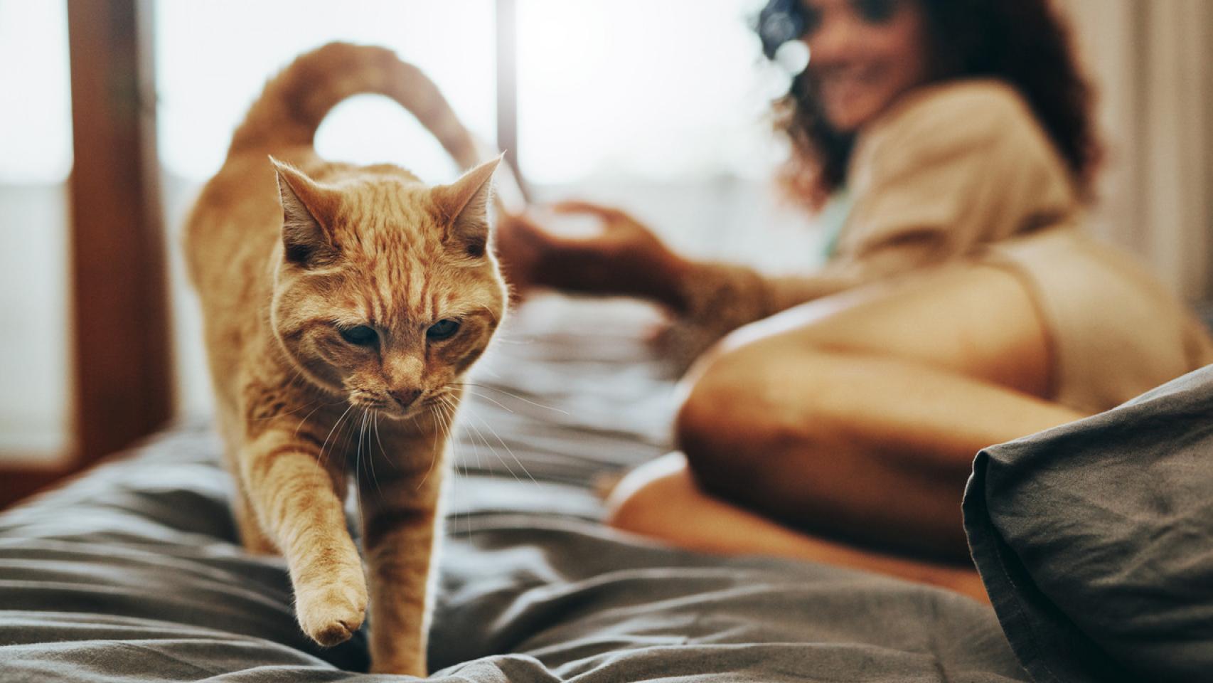 Una mujer y su gato.