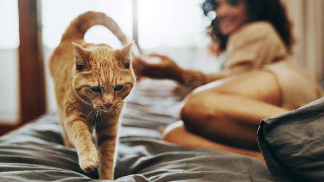 Una mujer y su gato.