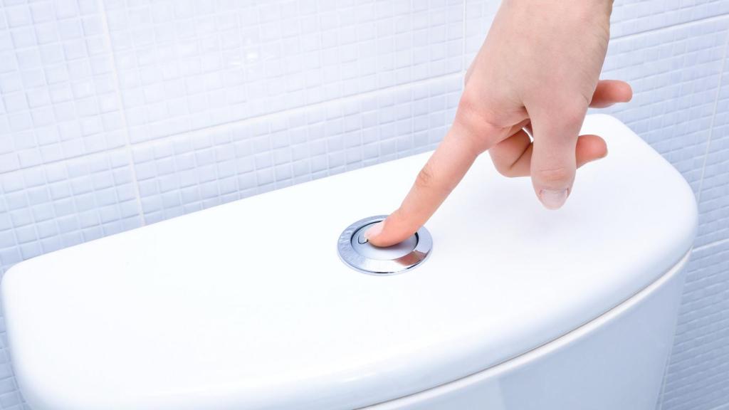 El inodoro es el lugar donde más agua utilizamos a lo largo del día.
