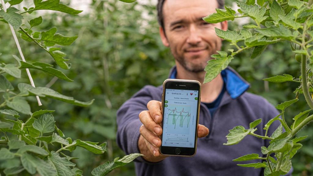 La plataforma de Ikos Tech permite consultar los datos en el móvil