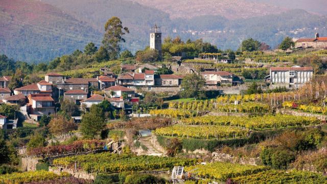 Así son los valles en los que nace el Ribeiro