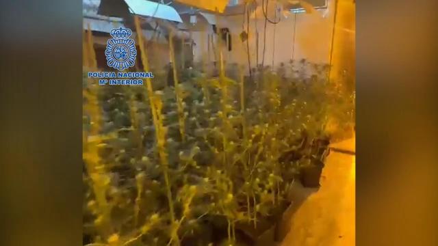 La Policía Nacional detiene a dos traficantes que operaban desde San Román de los Montes (Toledo)