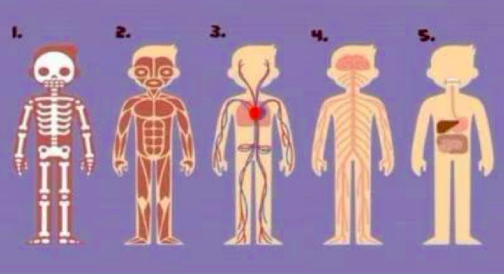 ¿Con qué parte del cuerpo te identificas más?