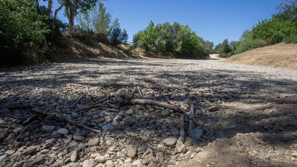 El río Guadiamar a 11 de mayo de 2023.