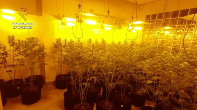 Intervienen mil kilos de cocaína y detienen a 30 personas en una operación en Algeciras