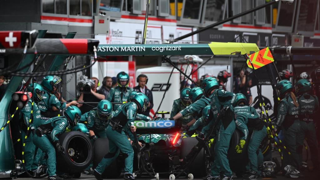 Fernando Alonso, en plena parada.