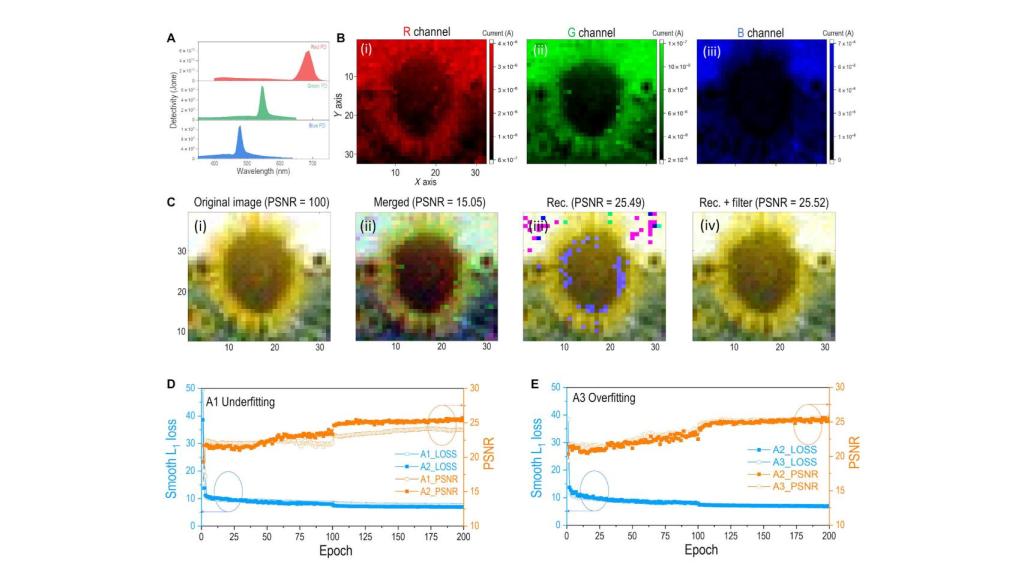 Algoritmo neuromórfico procesando la imagen