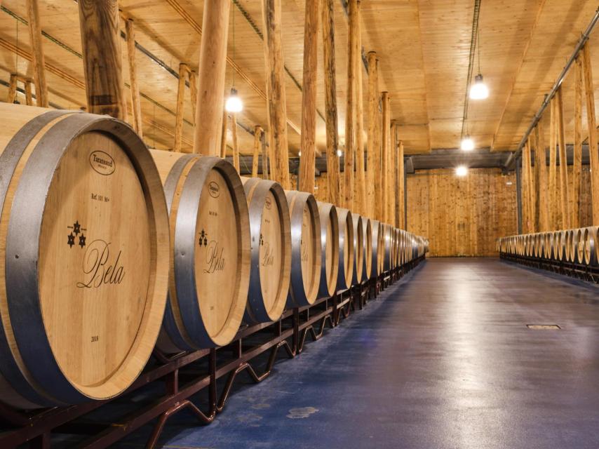 Sala de barricas Bodegas Bela